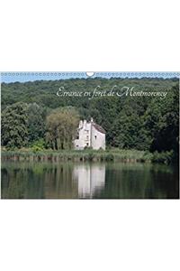 Balade En Foret De Montmorency 2018