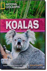 Koalas