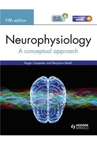 Neurophysiology