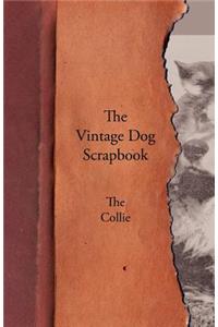 Vintage Dog Scrapbook - The Collie