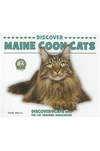 Discover Maine Coon Cats