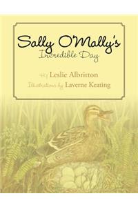 Sally O'Mally's Incredible Day