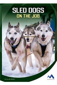 Sled Dogs on the Job