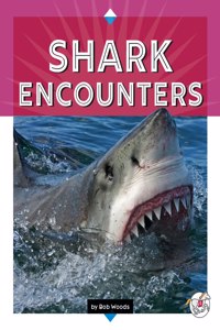 Shark Encounters