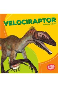 Velociraptor
