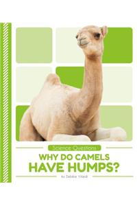 Why Do Camels Have Humps?