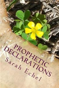 Prophetic Declarations