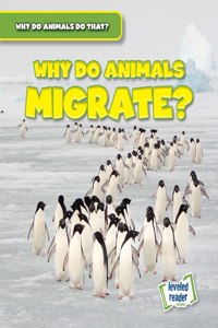 Why Do Animals Migrate?