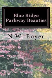 Blue Ridge Parkway Beauties: 2nd Edition