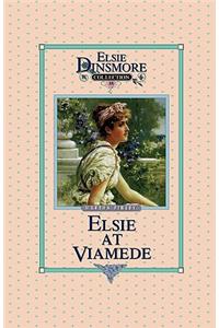 Elsie at Viamede, Book 18