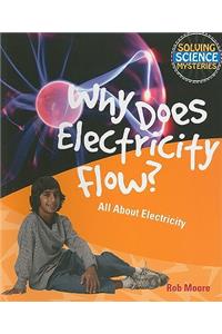 Why Does Electricity Flow?