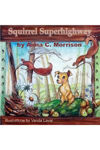 Squirrel Superhighway