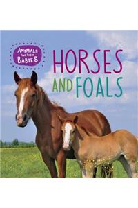 Horses and Foals