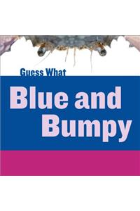 Blue and Bumpy