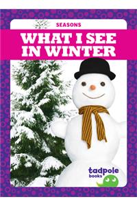 What I See in Winter