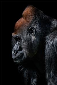 Save the Gorilla 2020 Weekly Monthly Planner