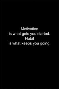 Motivation is what gets you started. Habit is what keeps you going.