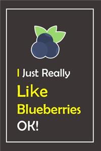 I Just Really Like Blueberries, OK !