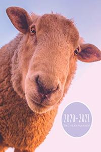 2020-2021 Two Year Planner