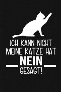 Ich kann nicht meine Katze hat nein gesagt