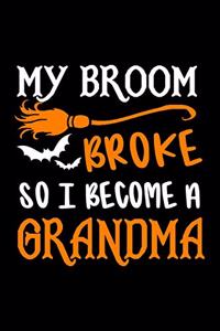 My Broom Broke So I Became A Grandma Journal