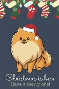 Christmas Is Here Have A Merry One