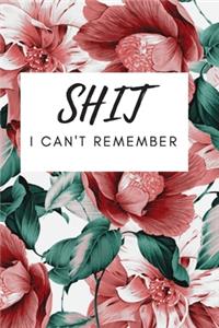 Shit I Can't Remember