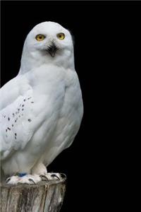 Stunning Snow Owl Raptor Journal