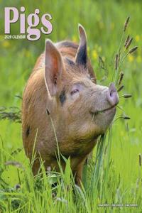 Pigs Calendar 2020