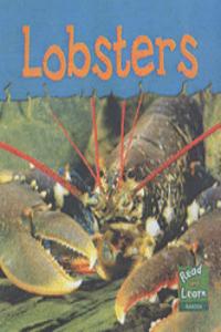 Read and Learn: Sea Life - Lobsters