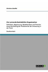 Lernende betriebliche Organisation