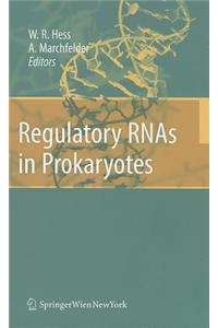 Regulatory RNAs in Prokaryotes