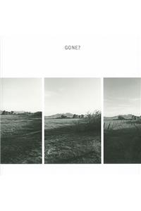 Robert Adams: Gone?