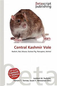 Central Kashmir Vole