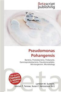 Pseudomonas Pohangensis