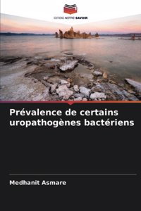 Prévalence de certains uropathogènes bactériens