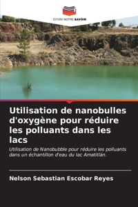 Utilisation de nanobulles d'oxygène pour réduire les polluants dans les lacs