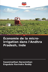 Économie de la micro-irrigation dans l'Andhra Pradesh, Inde