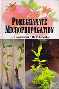 POMEGRANATE MICROPROPAGATION