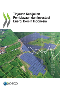 Tinjauan Kebijakan Pembiayaan Dan Investasi Energi Bersih Indonesia