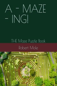 - Maze - Ing!