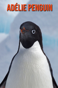Adélie Penguin