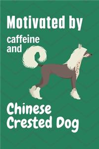 Motivated by caffeine and Chinese Crested Dog