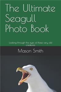 The Ultimate Seagull Photo Book