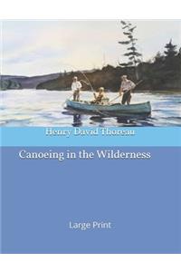 Canoeing in the Wilderness