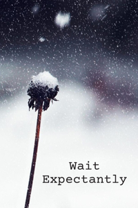 Wait Expectantly