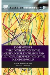 Rio-Hortega's Third Contribution to the Morphological Knowledge and Functional Interpretation of the Oligodendroglia