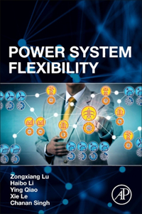 Power System Flexibility