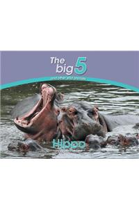 Hippo
