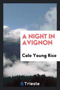 Night in Avignon